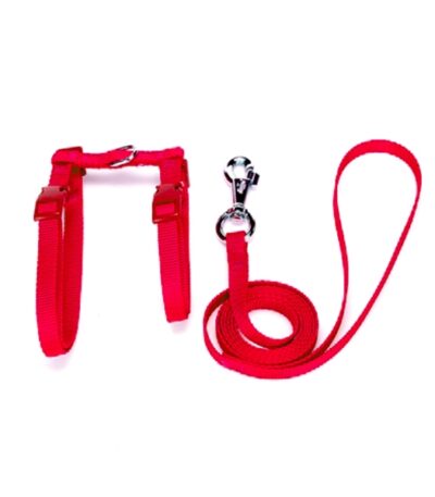 Kedi Göğüs Bel Tasması Dokuma 22/36 cm Kırmızı