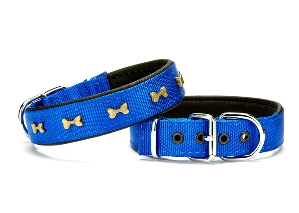 Doggie Kemik Metal Süslü Köpek Tasması 3*55 cm Medium Mavi