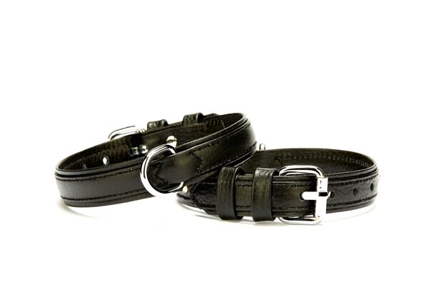 Doggie Deri Köpek Boyun Tasması 2 cmx30-37 cm Small Siyah